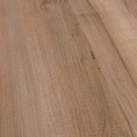 Pacific Walnut